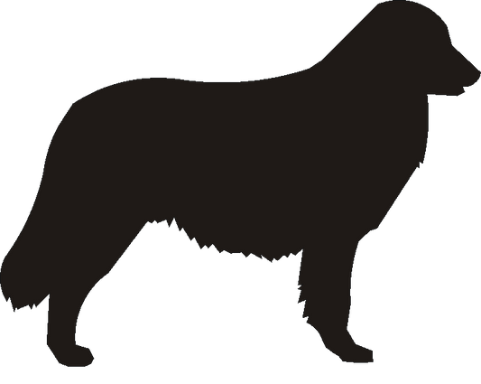 Kuvasz Motif Baskets