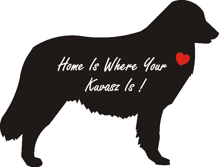 Kuvasz Home Is...