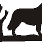 Kuvasz Hanging Signs