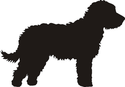 Labradoodle Motif Baskets
