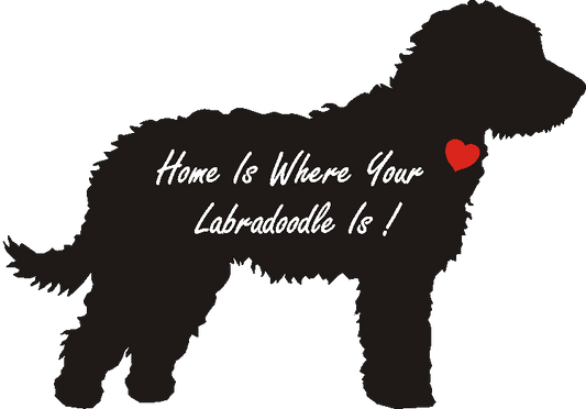 Labradoodle Home Is...