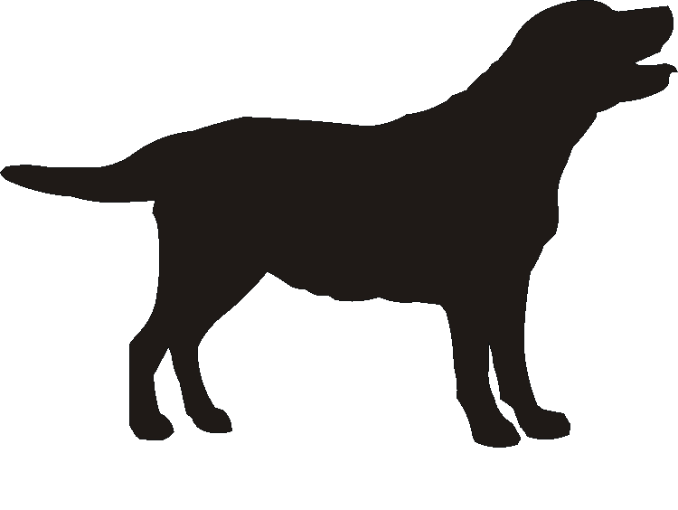 Labrador Silhouettes