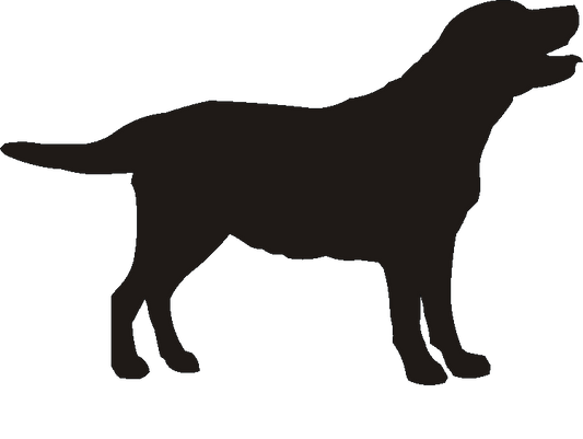 Labrador Motif Baskets