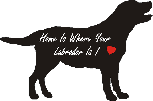 Labrador Home Is...