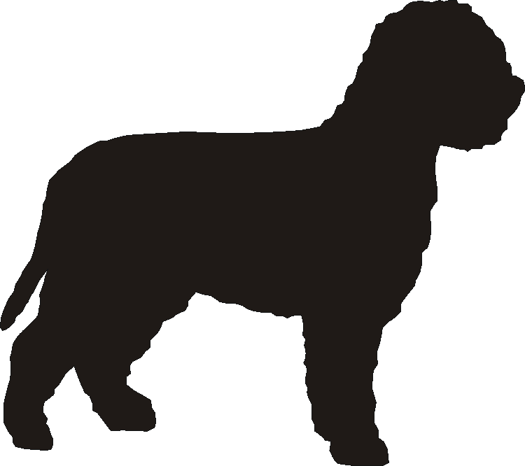 Lagotto Curtain Hook Backs