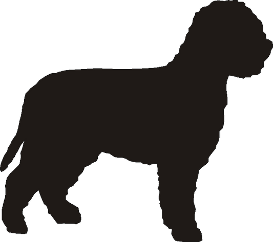 Lagotto Motif Baskets