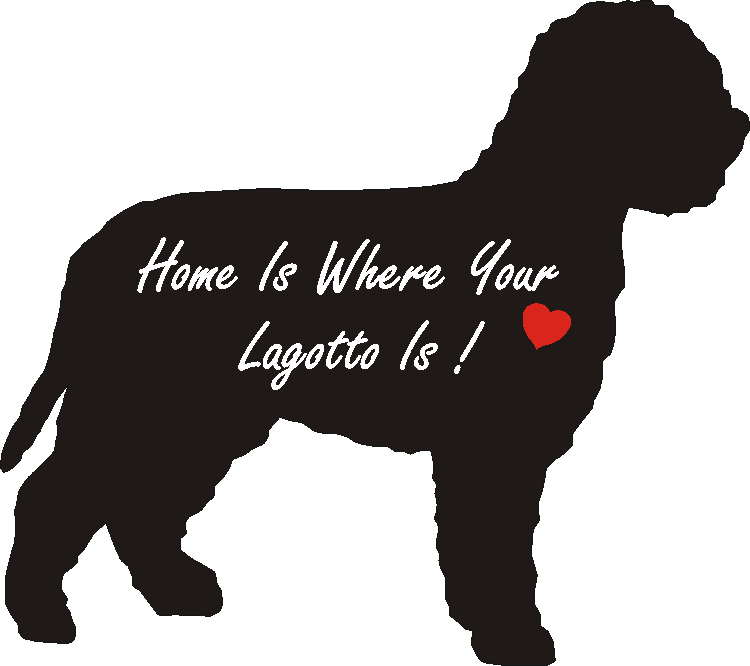 Lagotto Home Is...