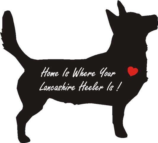 Lancashire Heeler Home Is...