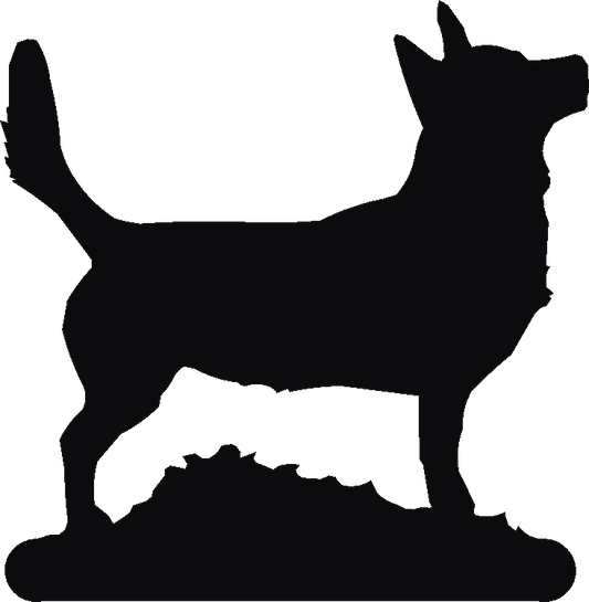 Lancashire Heeler Hand Stand