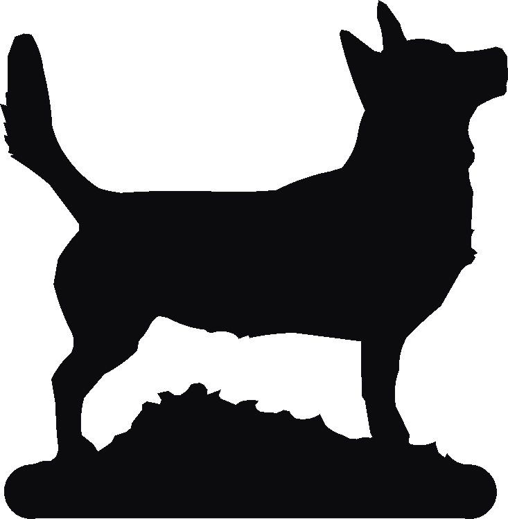 Lancashire Heeler Towel Ring