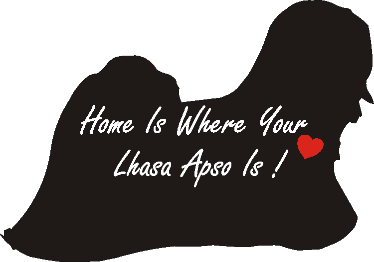 Lhaso Apso Home Is...