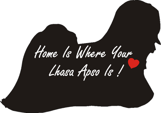 Lhaso Apso Home Is...