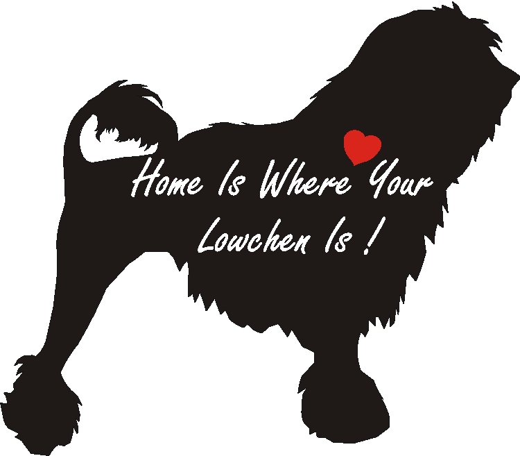 Lowchen Home Is...