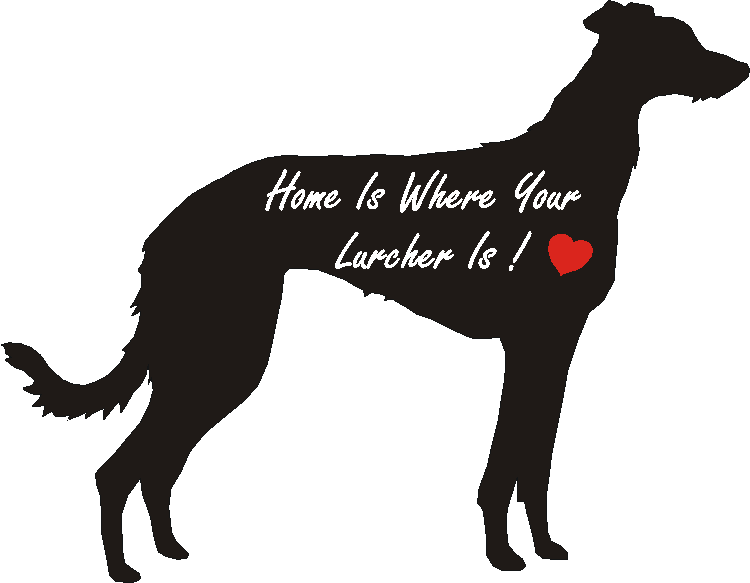 Lurcher Home Is...