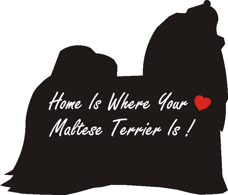 Maltese Home Is...