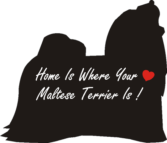 Maltese Home Is...