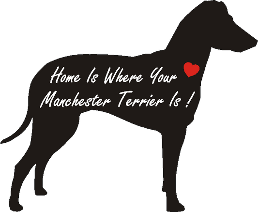 Manchester Terrier Home Is...