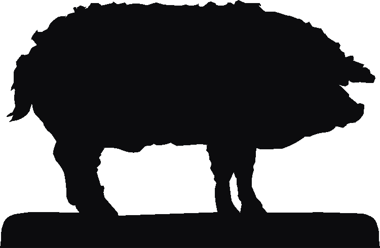 Mangalitsa Rosette Runner