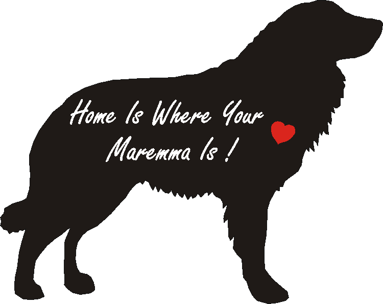 Maremma Home Is...