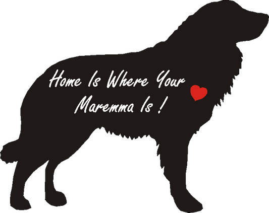 Maremma Home Is...