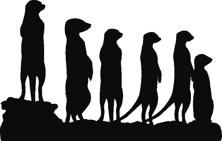 Meerkats Silhouettes