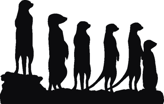 Meerkats Silhouettes