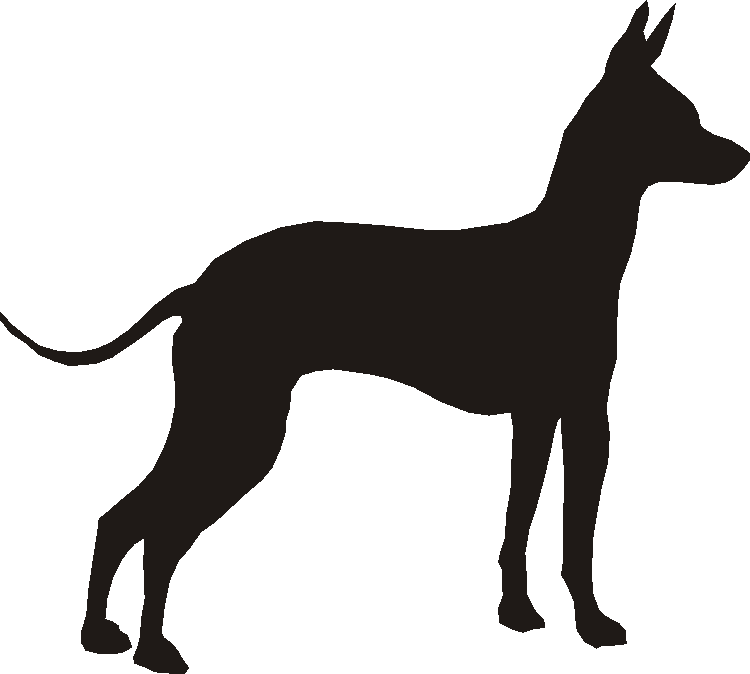 Mexican Hairless Dog Yorkshire Sign