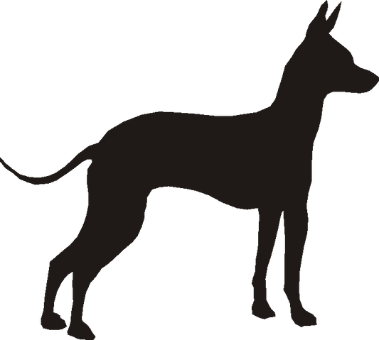 Mexican Hairless Dog Verge Sign