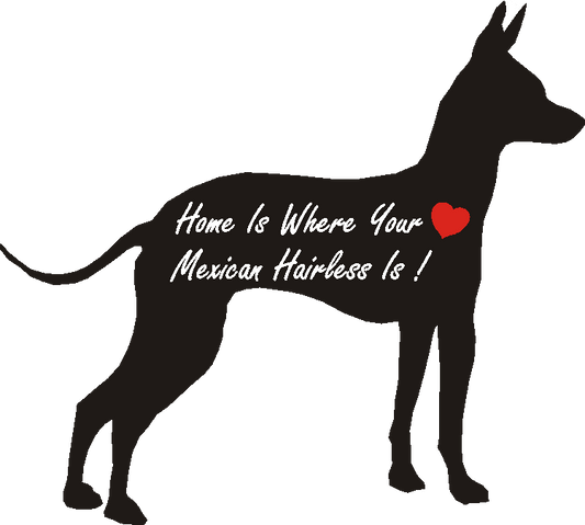 Mexican Hairless Dog Home Is...