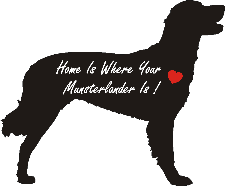 Munsterlander Home Is...