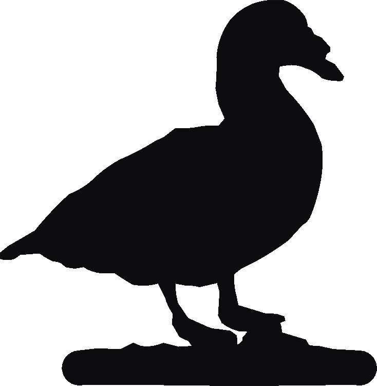 Muscovy Duck Noteblock