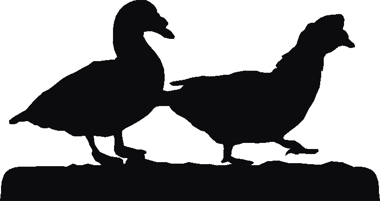 Muscovy Duck Sign Plates