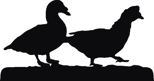 Muscovy Duck Silhouettes