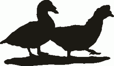 Muscovy Duck Hanging Signs