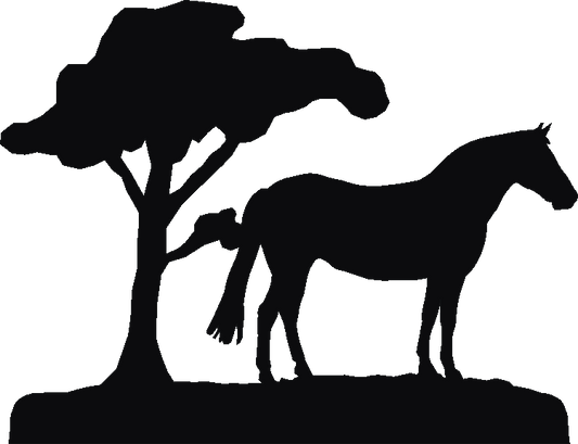 New Forest Pony Rosette Runner