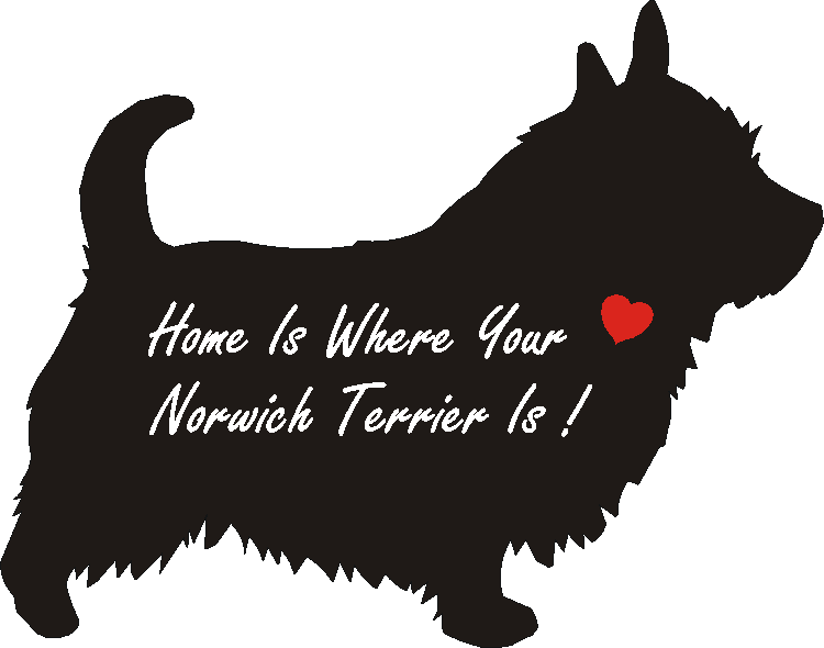 Norwich Home Is...