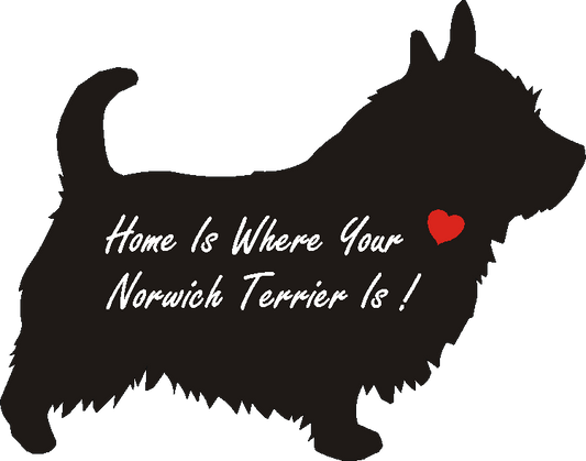 Norwich Home Is...