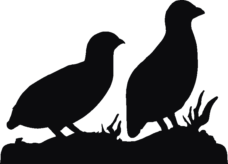 Partridge Pair Silhouettes