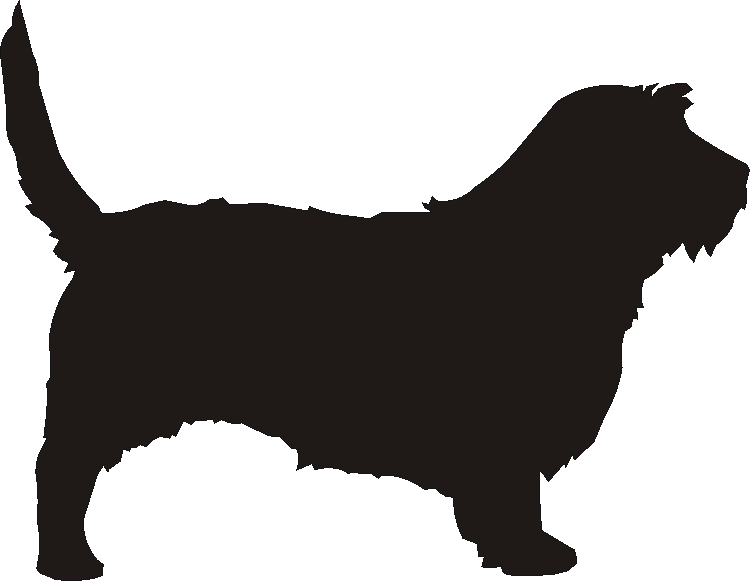 PBGV Silhouettes