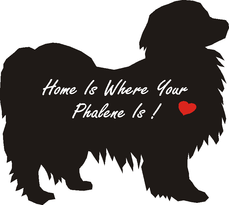 Phalene Home Is...