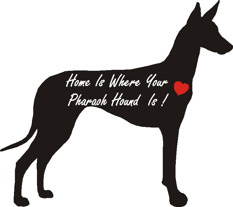 Pharoah Hound Home Is...