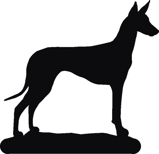 Pharoah Hound Post Top