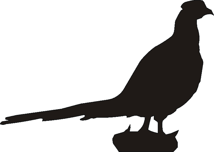 Pheasant Silhouettes