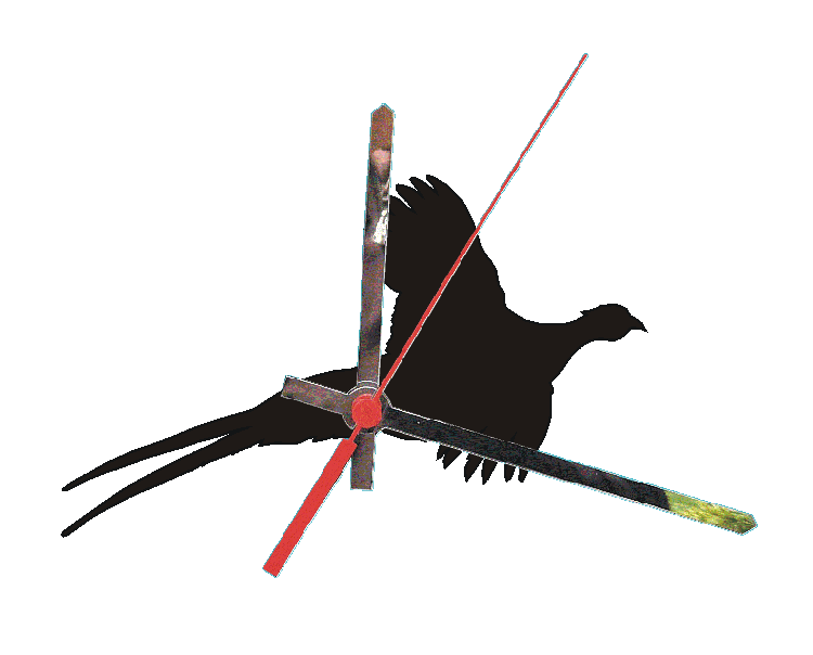 Pheasant Flying Clocks