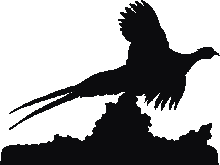 Pheasant Flying Weathervane