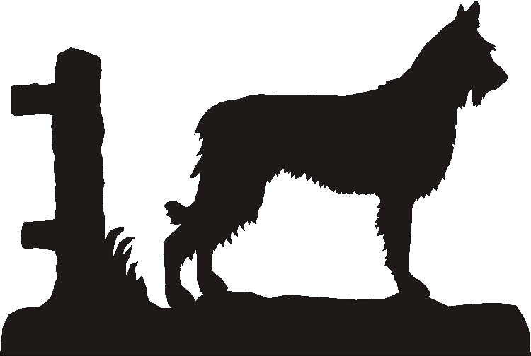 Picardy Sheepdog Silhouettes