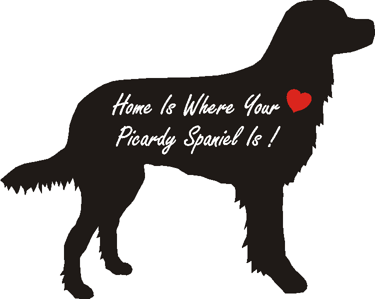 Picardy Spaniel Home Is...