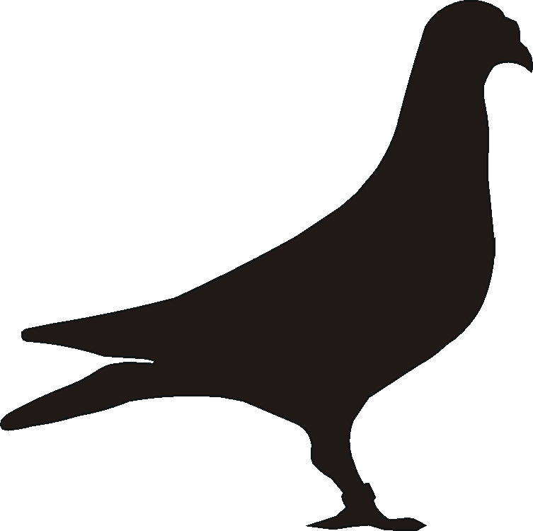 Pigeon Tankard