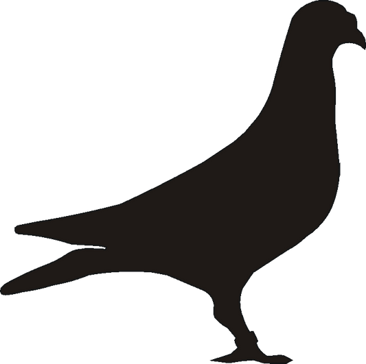 Pigeon Verge Sign