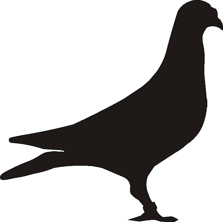 Pigeon Yorkshire Sign